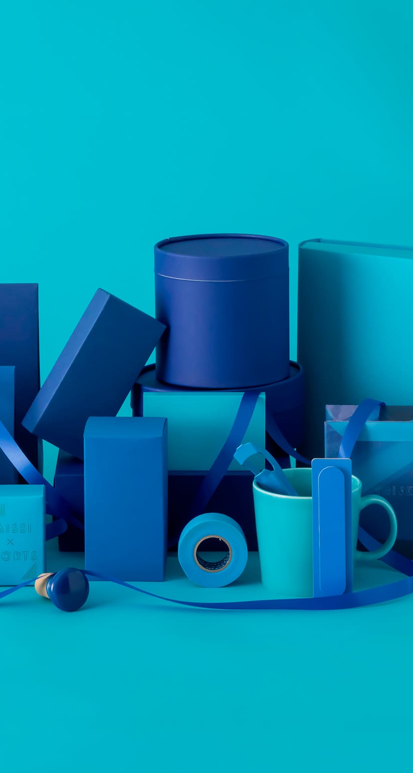 TAISEI株式会社イメージ